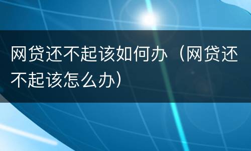 网贷还不起该如何办（网贷还不起该怎么办）