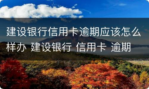 建设银行信用卡逾期应该怎么样办 建设银行 信用卡 逾期
