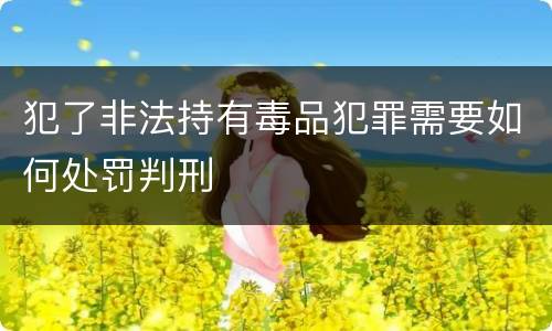 犯了非法持有毒品犯罪需要如何处罚判刑