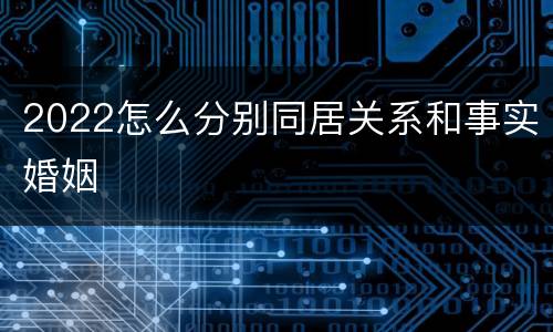 2022怎么分别同居关系和事实婚姻