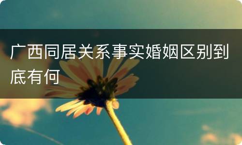 广西同居关系事实婚姻区别到底有何