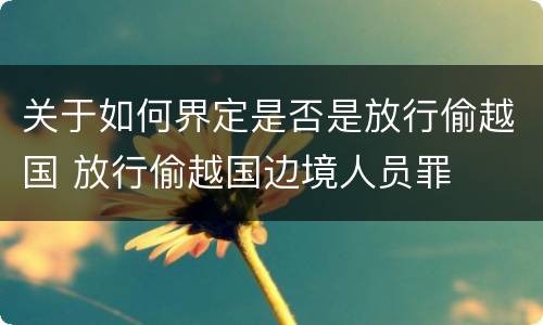 关于如何界定是否是放行偷越国 放行偷越国边境人员罪