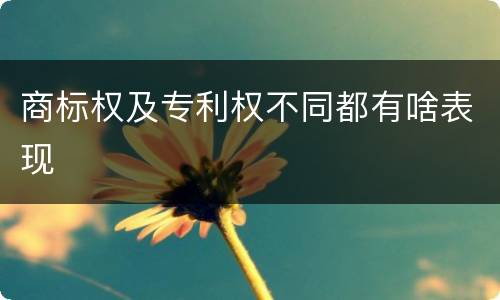 商标权及专利权不同都有啥表现