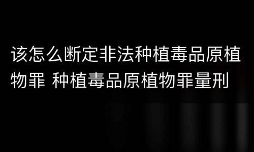 该怎么断定非法种植毒品原植物罪 种植毒品原植物罪量刑