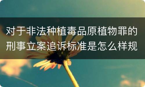 对于非法种植毒品原植物罪的刑事立案追诉标准是怎么样规定