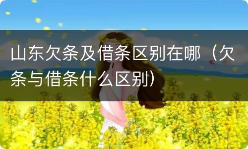 山东欠条及借条区别在哪（欠条与借条什么区别）