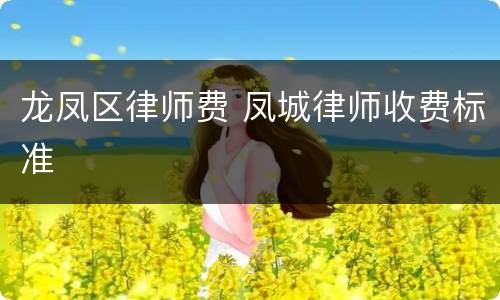 龙凤区律师费 凤城律师收费标准