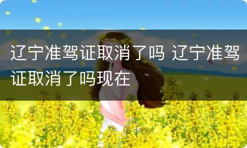 辽宁准驾证取消了吗 辽宁准驾证取消了吗现在