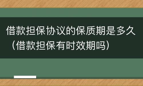 借款担保协议的保质期是多久（借款担保有时效期吗）