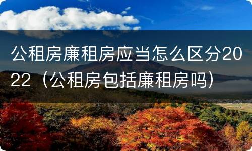 公租房廉租房应当怎么区分2022（公租房包括廉租房吗）