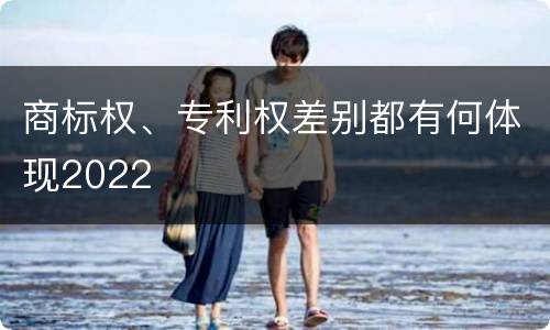商标权、专利权差别都有何体现2022