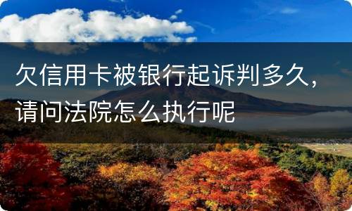 欠信用卡被银行起诉判多久，请问法院怎么执行呢