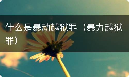 什么是暴动越狱罪（暴力越狱罪）