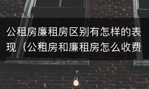 公租房廉租房区别有怎样的表现（公租房和廉租房怎么收费）