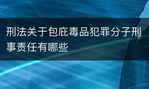 刑法关于包庇毒品犯罪分子刑事责任有哪些