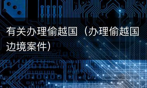 有关办理偷越国（办理偷越国边境案件）