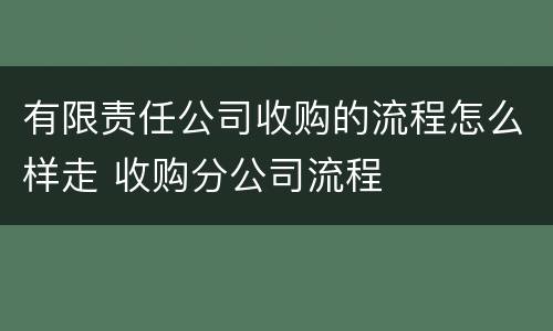 有限责任公司收购的流程怎么样走 收购分公司流程