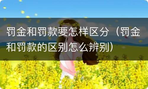 罚金和罚款要怎样区分（罚金和罚款的区别怎么辨别）