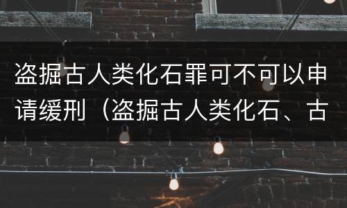 盗掘古人类化石罪可不可以申请缓刑（盗掘古人类化石、古脊椎动物化石罪）