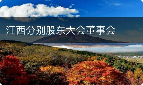 江西分别股东大会董事会