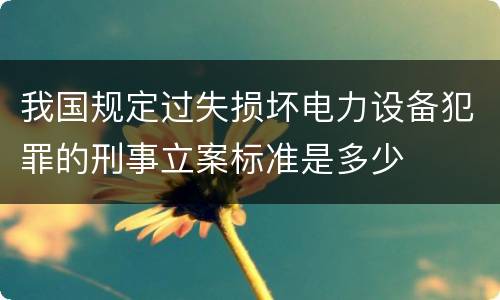 我国规定过失损坏电力设备犯罪的刑事立案标准是多少