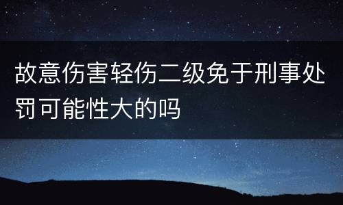 故意伤害轻伤二级免于刑事处罚可能性大的吗