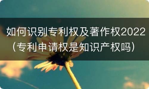 如何识别专利权及著作权2022（专利申请权是知识产权吗）