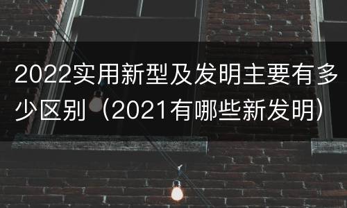 2022实用新型及发明主要有多少区别（2021有哪些新发明）