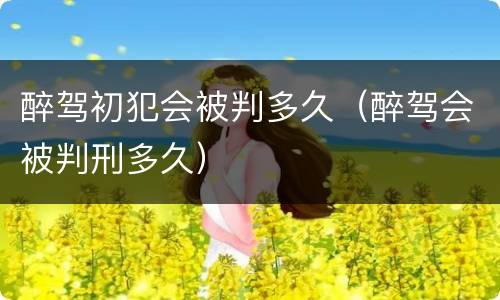 醉驾初犯会被判多久（醉驾会被判刑多久）
