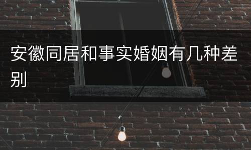 安徽同居和事实婚姻有几种差别