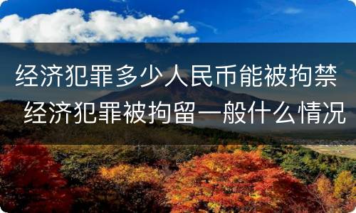 经济犯罪多少人民币能被拘禁 经济犯罪被拘留一般什么情况