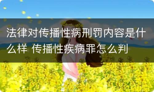 法律对传播性病刑罚内容是什么样 传播性疾病罪怎么判