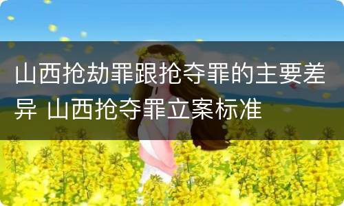山西抢劫罪跟抢夺罪的主要差异 山西抢夺罪立案标准