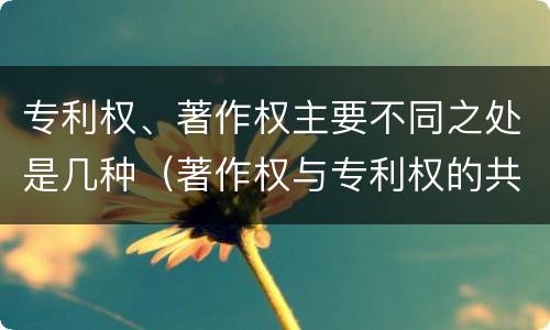 专利权、著作权主要不同之处是几种（著作权与专利权的共性有）