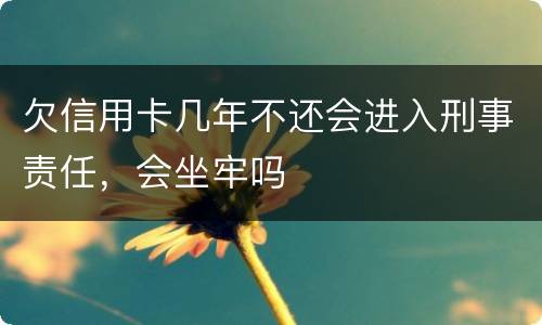 欠信用卡几年不还会进入刑事责任，会坐牢吗