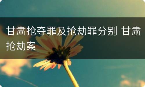 甘肃抢夺罪及抢劫罪分别 甘肃抢劫案