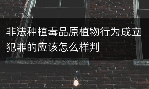 非法种植毒品原植物行为成立犯罪的应该怎么样判