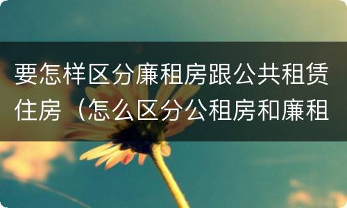 要怎样区分廉租房跟公共租赁住房（怎么区分公租房和廉租房）