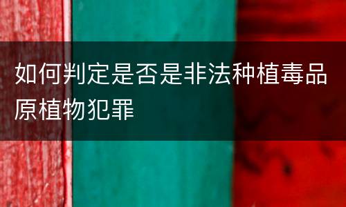 如何判定是否是非法种植毒品原植物犯罪