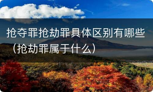 抢夺罪抢劫罪具体区别有哪些（抢劫罪属于什么）