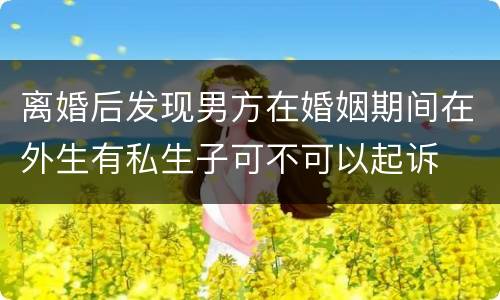 离婚后发现男方在婚姻期间在外生有私生子可不可以起诉