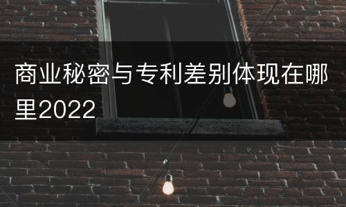 商业秘密与专利差别体现在哪里2022