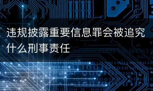 违规披露重要信息罪会被追究什么刑事责任