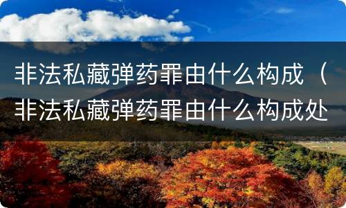 非法私藏弹药罪由什么构成（非法私藏弹药罪由什么构成处罚）