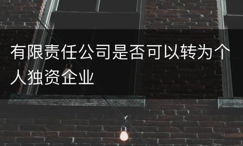 有限责任公司是否可以转为个人独资企业