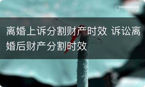 离婚上诉分割财产时效 诉讼离婚后财产分割时效