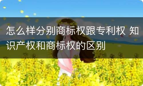 怎么样分别商标权跟专利权 知识产权和商标权的区别
