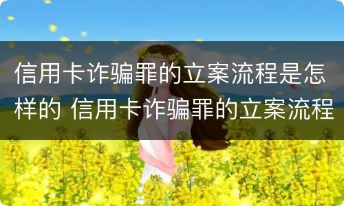 信用卡诈骗罪的立案流程是怎样的 信用卡诈骗罪的立案流程是怎样的呢