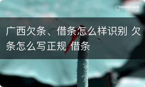 广西欠条、借条怎么样识别 欠条怎么写正规 借条