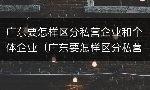 广东要怎样区分私营企业和个体企业（广东要怎样区分私营企业和个体企业呢）
